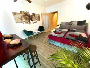 Cozy Apartment in City Center
